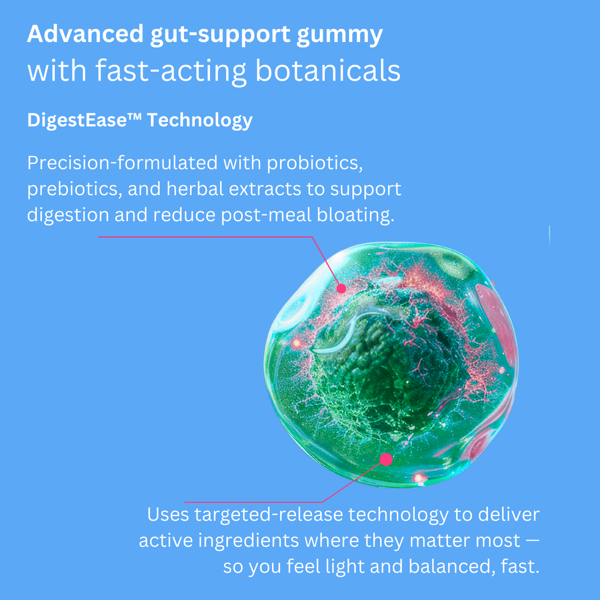 Digestive supplement delivery-system infographic with a coloured sphere illustration.