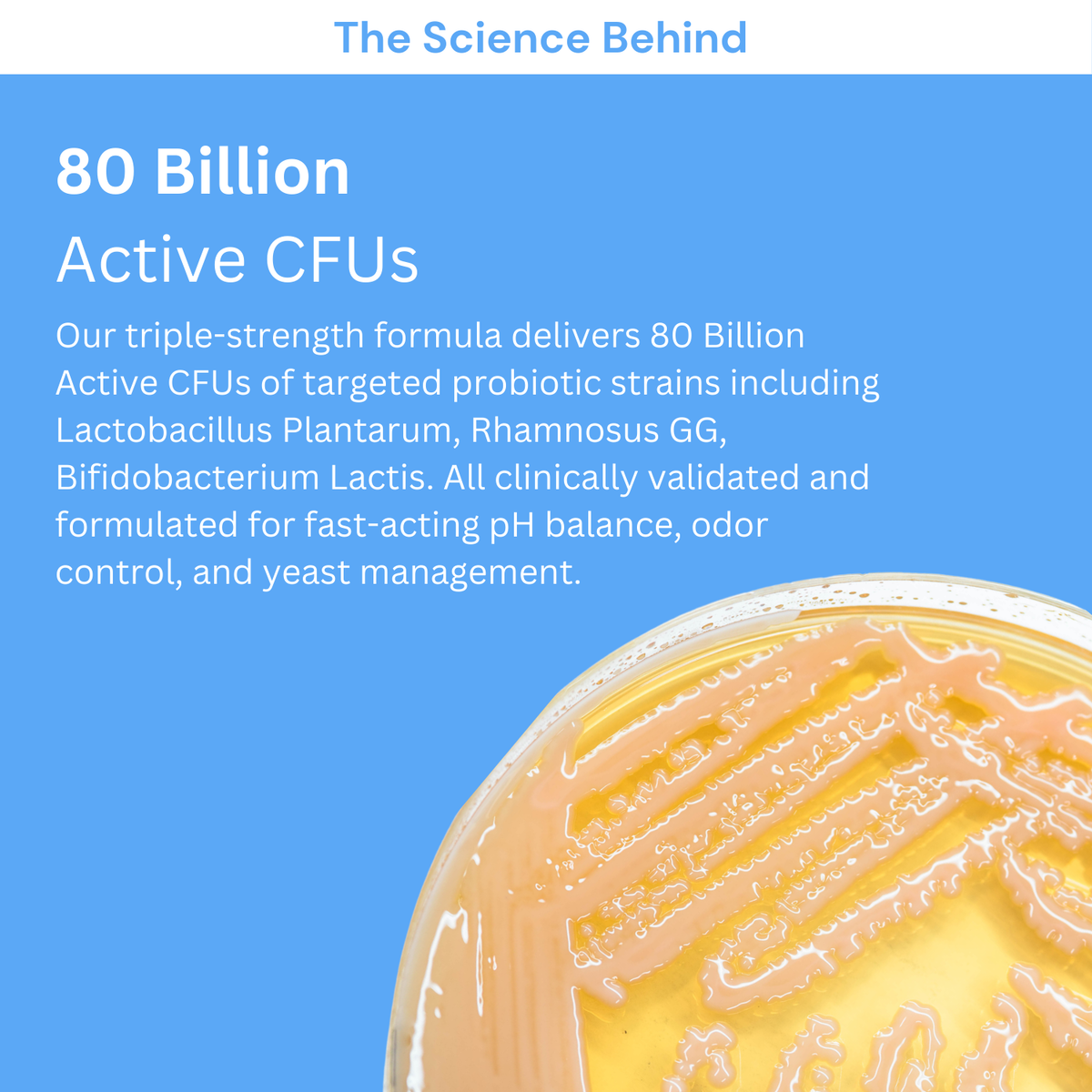 Probiotics + Prebiotics Capsules infographic about live cultures with a culture-dish illustration.