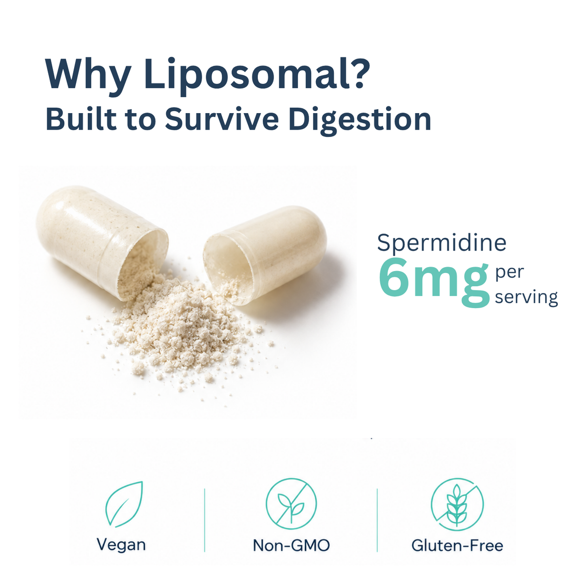Open Spermidine+ capsule and product information showing 6 mg per serving.