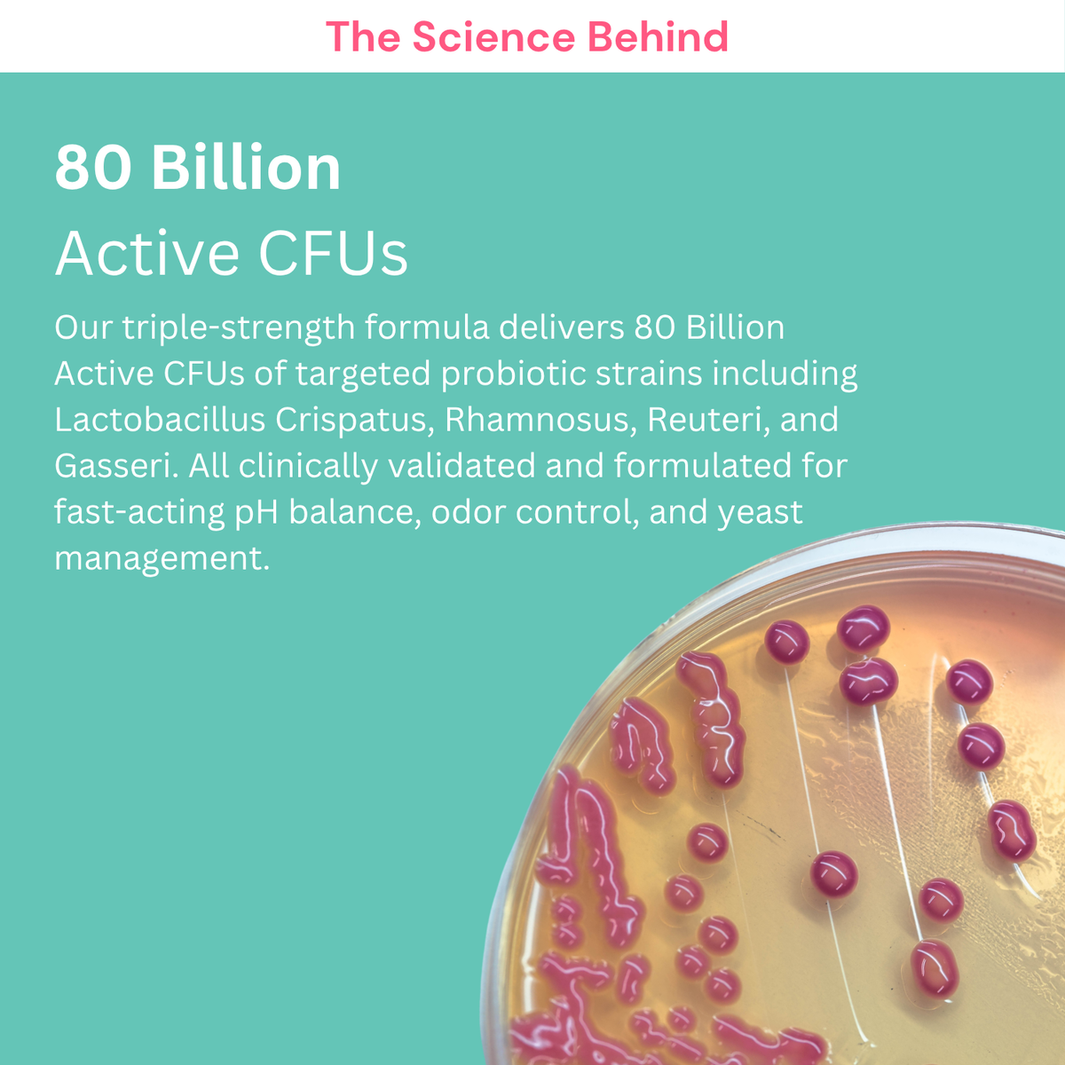 Vaginal Probiotics Capsules