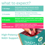 NAD+ Complex Gummies