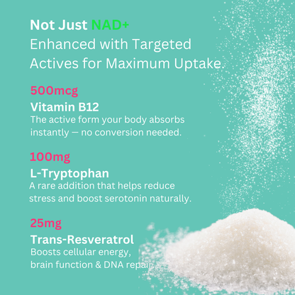NAD+ Gummies - 800mg Niacinamide | Flush-Free B3, B12, Quercetin, L-Tryptophan & Resveratrol.