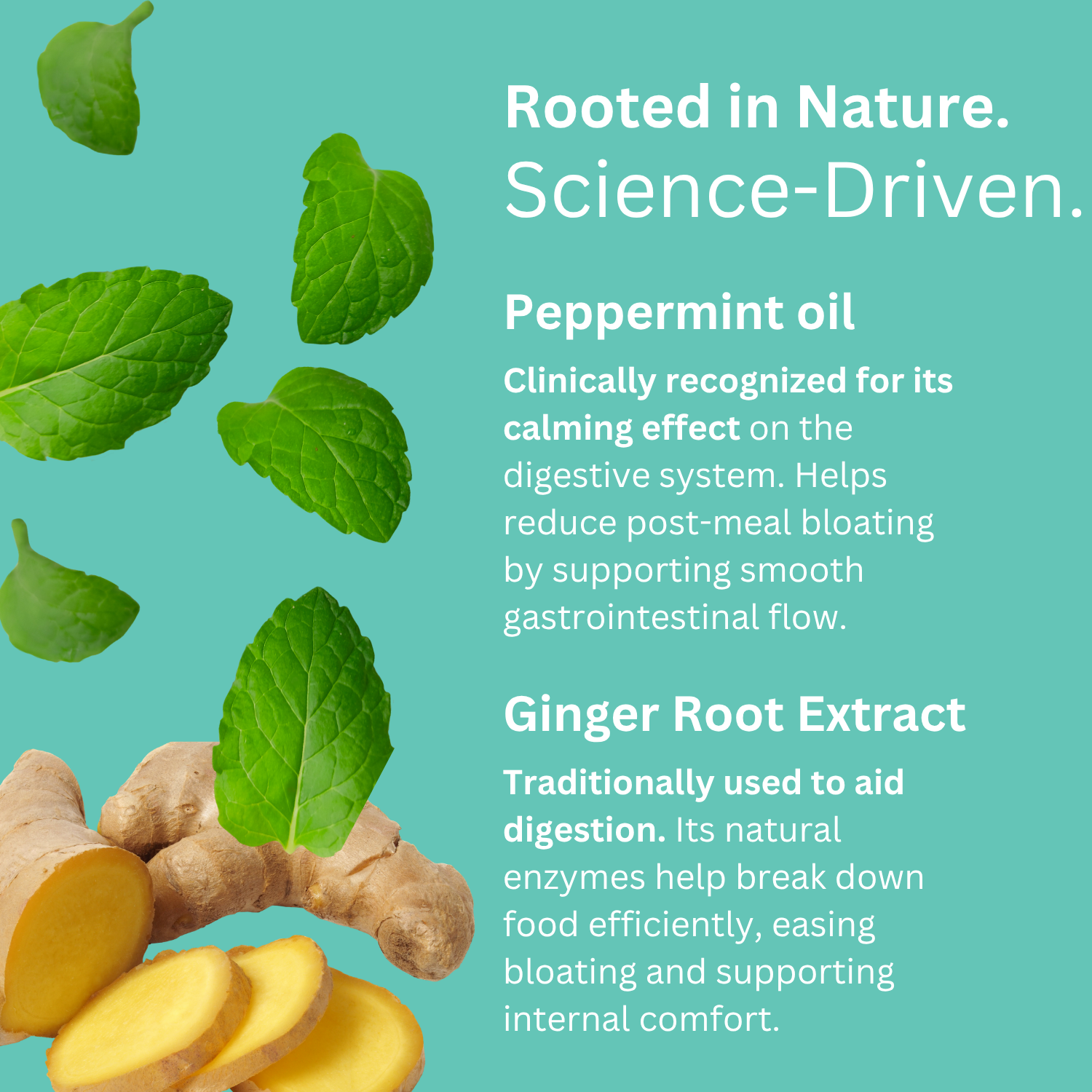 Probiotics + Prebiotics