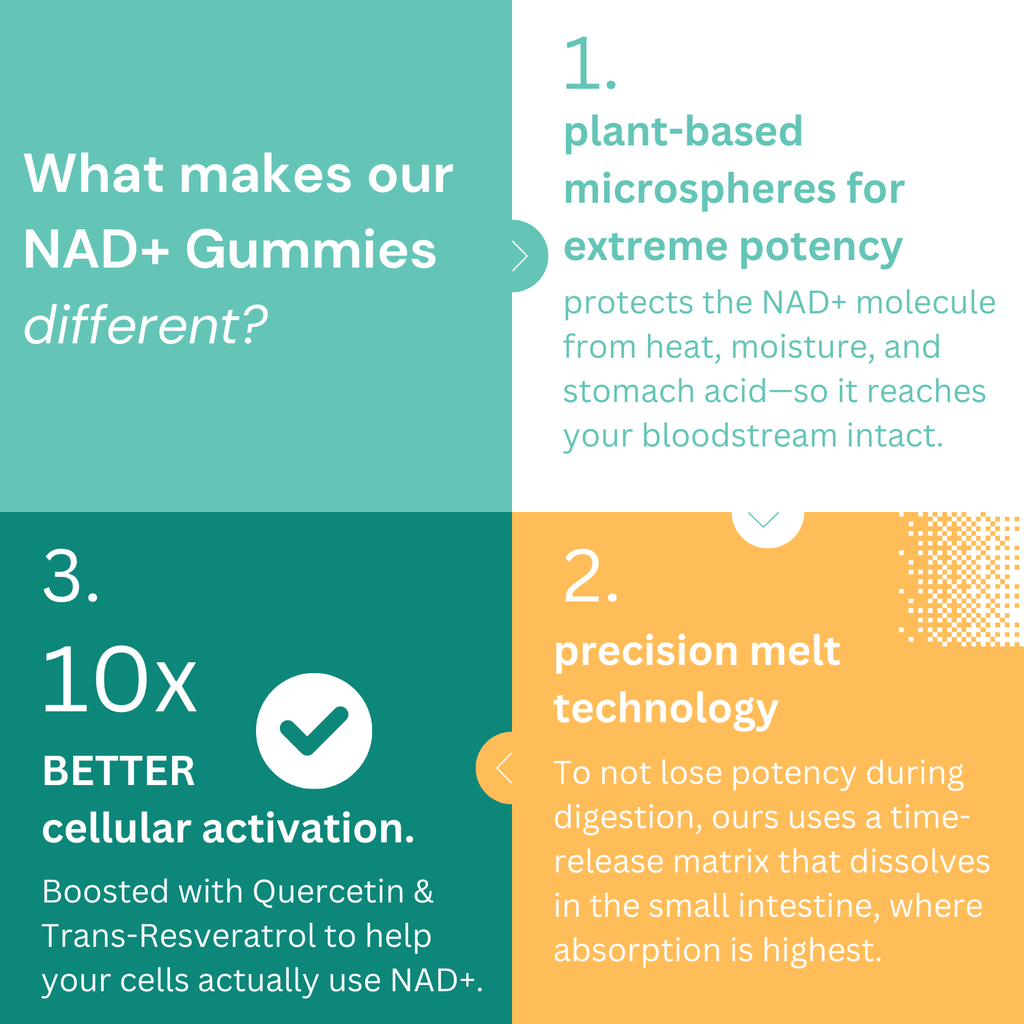 Capsules de complexe NAD+