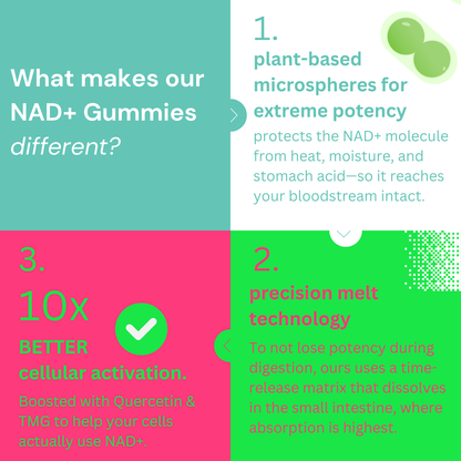 NAD+ Gummies - 800mg Niacinamide | Flush-Free B3, B12, Quercetin, L-Tryptophan & Resveratrol.