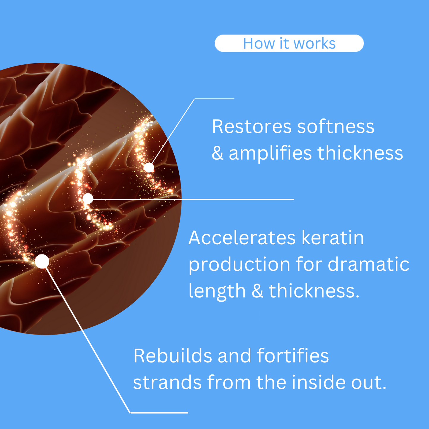 Hair Growth Gummies 〡9,000mcg Biotin, 250mg Keratin + 500mg MSM