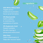 Acne Spot Treatment Hollywoodskin