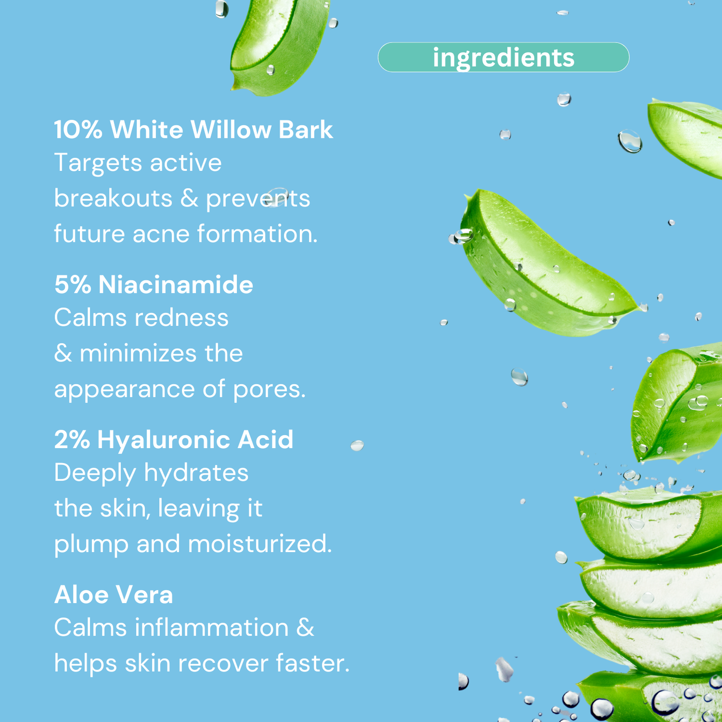 4X Strength〡Acne Spot Treatment with 10% Organic Salicylic Acid