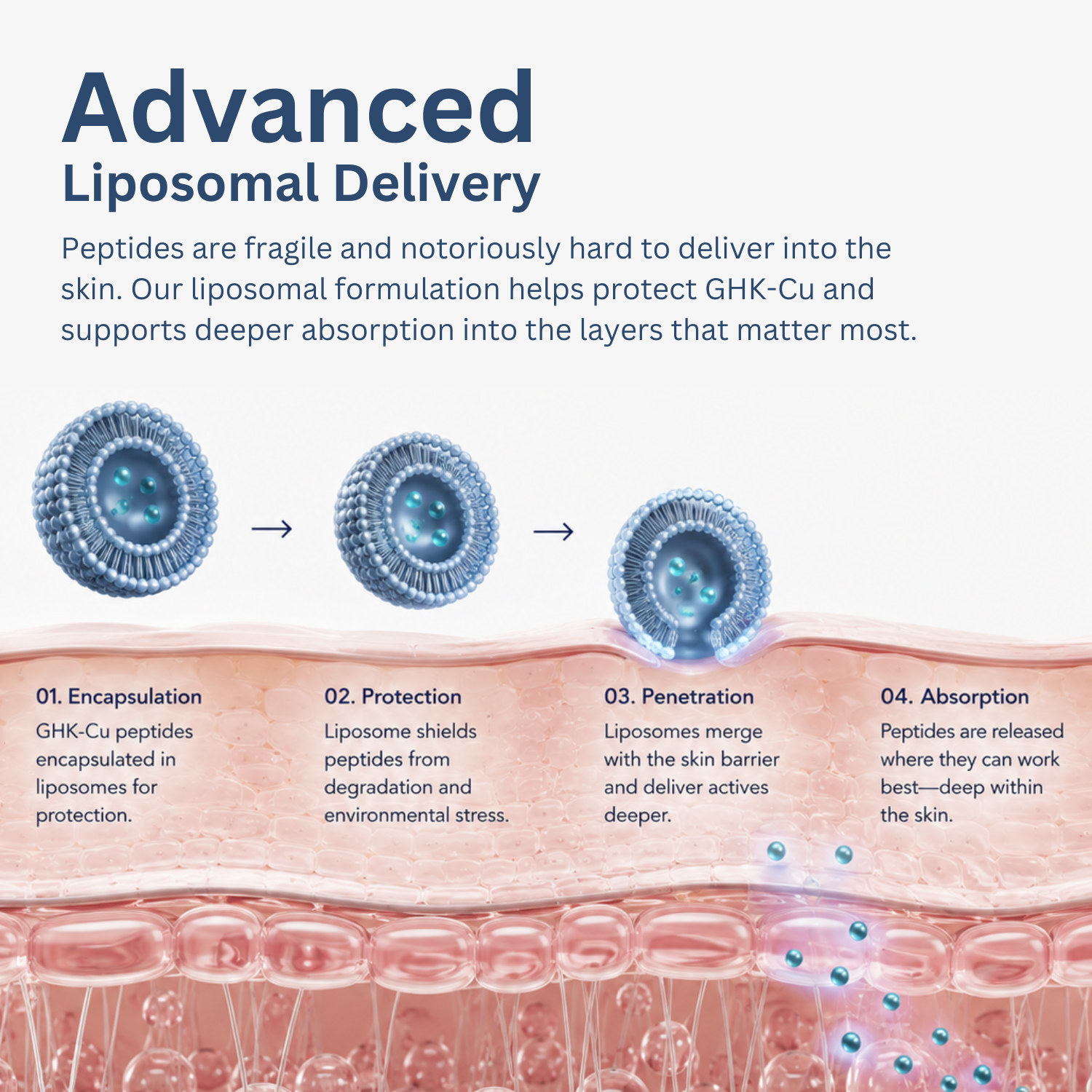 RE-INVENTED Copper Peptide Serum