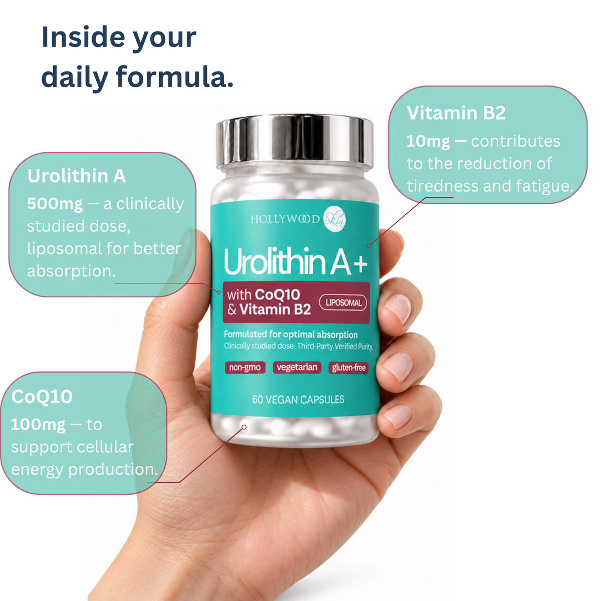 Hand holding Urolithin A+ with ingredient amounts for urolithin A, CoQ10 and vitamin B2.