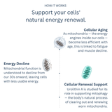 Urolithin A+ infographic illustrating the product's proposed mechanism.